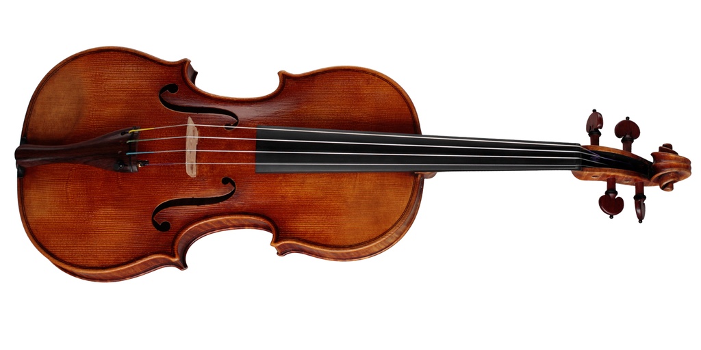 Hofner Violin